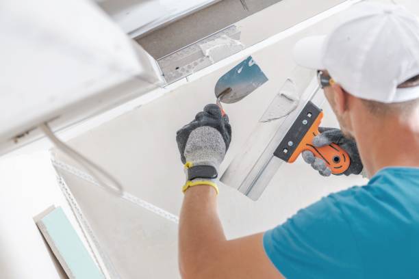 Best Airborne Mold Testing  in East End, AR